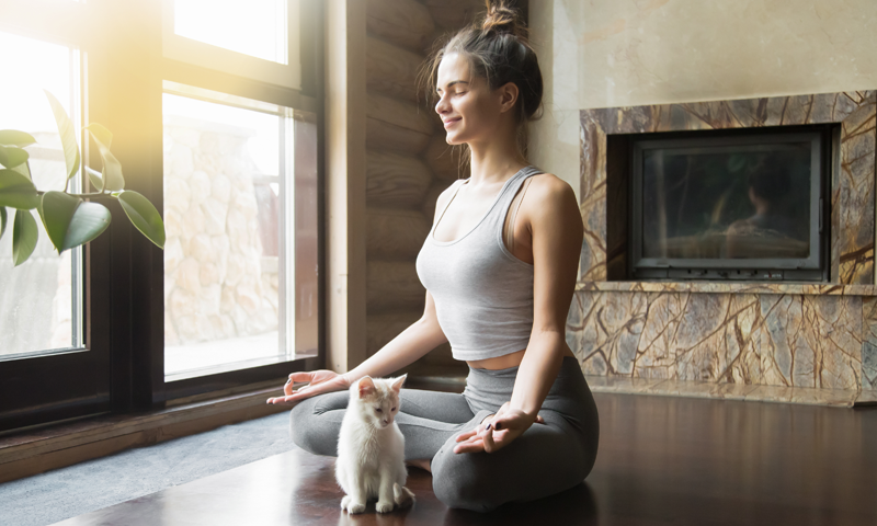New Trend: Yoga with Animals