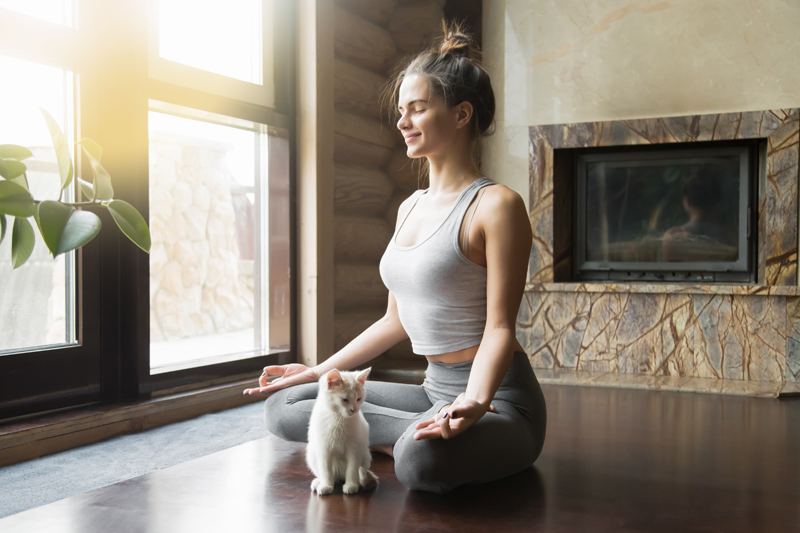 New Trend: Yoga with Animals